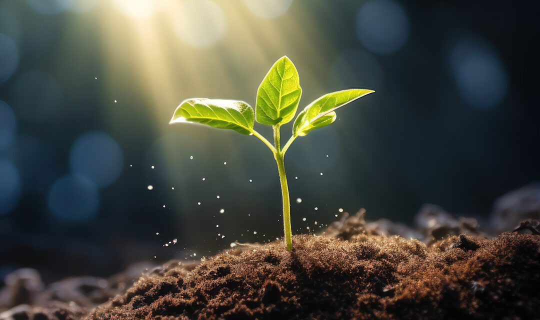 Gründerpreis 2025 – Ihr Mut wird prämiert!