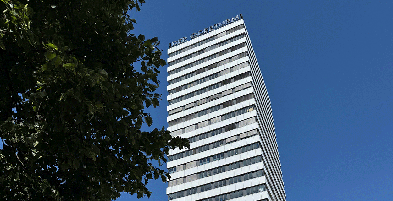 Gemeinsam hoch hinaus – Mitgliederversammlung & Get Together